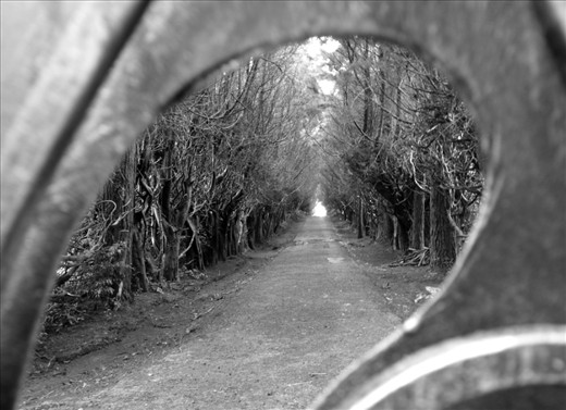 During a morning hike in San José de la Montaña, Costa Rica, I found an iron gates blocking the entrance to another road, but there was a hole in them, a hole big enough for a curious camera lens...