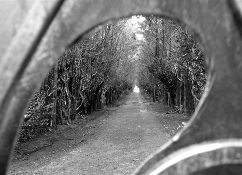 During a morning hike in San José de la Montaña, Costa Rica, I found an iron gates blocking the entrance to another road, but there was a hole in them, a hole big enough for a curious camera lens...