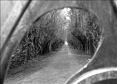 During a morning hike in San José de la Montaña, Costa Rica, I found an iron gates blocking the entrance to another road, but there was a hole in them, a hole big enough for a curious camera lens...: by gatodemonte, Views[355]