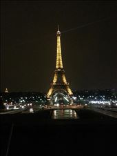 by gator, Views[189]