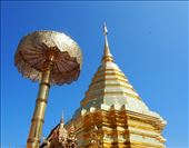 by gatornav, Views[849]