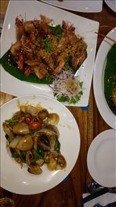 by gatornav, Views[729]