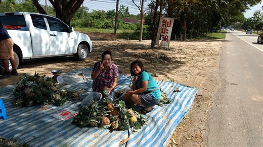 Phrae Pineapples by the Side of the Road