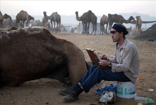 A man engrossed in sketching the camel herd oblivious of the surroundings
