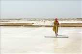 Saltpan workers of the Little Rann of Kutch, Gujurat, India
We arrived in the hottest part of the dry season and all the surface water had gone in the months previous, briny water is pumped from underground water deposits. The saline water is 10 times saltier than sea water. It is pumped into the huge salt pans carved into the desert floor and is harvested on an industrial scale. Raked continually to separate, allow evaporation and to encourage formation of the salt crystals. : by gavin_burnett, Views[1109]