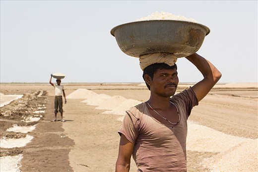 Most of the Agariyas have little or no education and come from the impoverished Koli and Chuvaliya Koli tribes. Salt workers die young, they have a low life expectancy of 50-60. There is a saying in the Rann 
