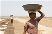 Most of the Agariyas have little or no education and come from the impoverished Koli and Chuvaliya Koli tribes. Salt workers die young, they have a low life expectancy of 50-60. There is a saying in the Rann Most of the Agariyas have little or no education and come from the impoverished Koli and Chuvaliya Koli tribes. Salt workers die young, they have a low life expectancy of 50-60. There is a saying in the Rann