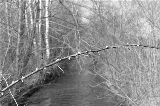 Freedom never arrived for many