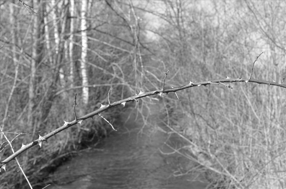 Freedom never arrived for many