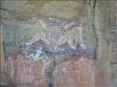 Cave Painting: by gcadventuresdownunder, Views[306]