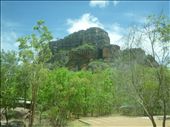 Kakadu: by gcadventuresdownunder, Views[285]