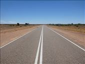 traffic!: by gcadventuresdownunder, Views[273]