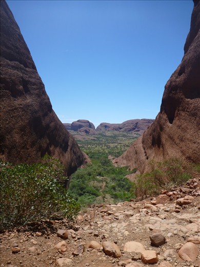 olgas view