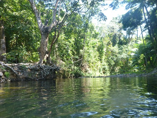 waterhole, 500 metres the other way are crocs!
