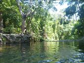 waterhole, 500 metres the other way are crocs!: by gcadventuresdownunder, Views[301]