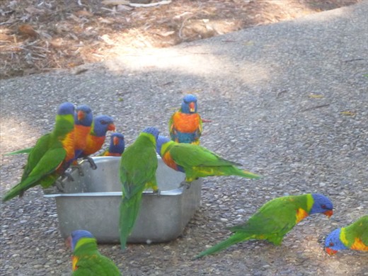 Only photo on magnetic worth sharing