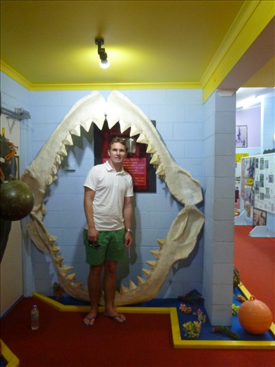 This Shark would of been 70ft