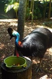 by gcadventuresdownunder, Views[169]