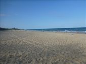 1 of the 20 beaches 10 mins from their house: by gcadventuresdownunder, Views[221]