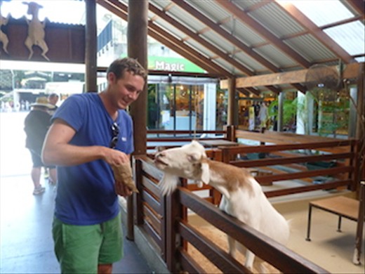 fun at the zoo me feeding chez