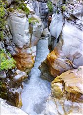 Holy river Ganga between slippery mountais,level of river goes up to plants.: by gdb1989, Views[298]