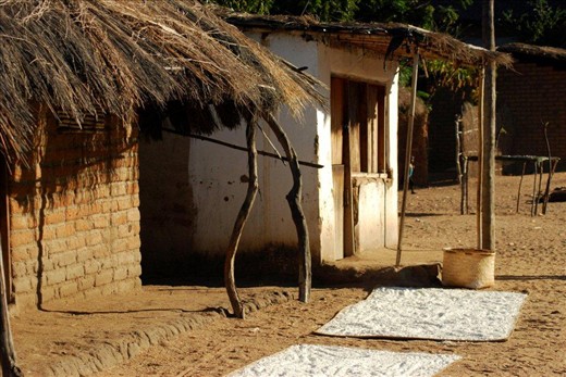 A typical village shop with their staple crushed cassava drying in the sun.