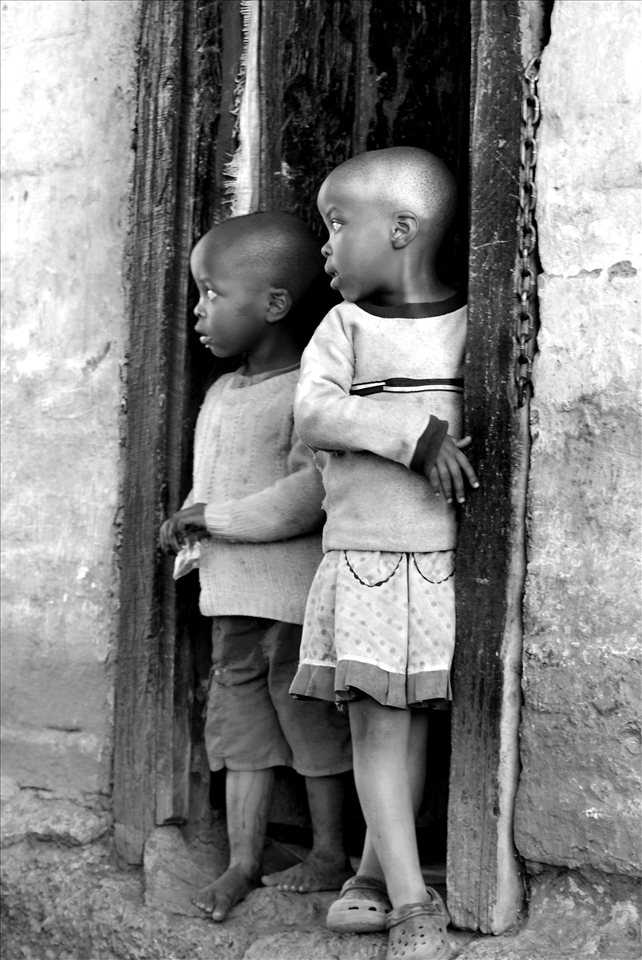 Sibling companionship