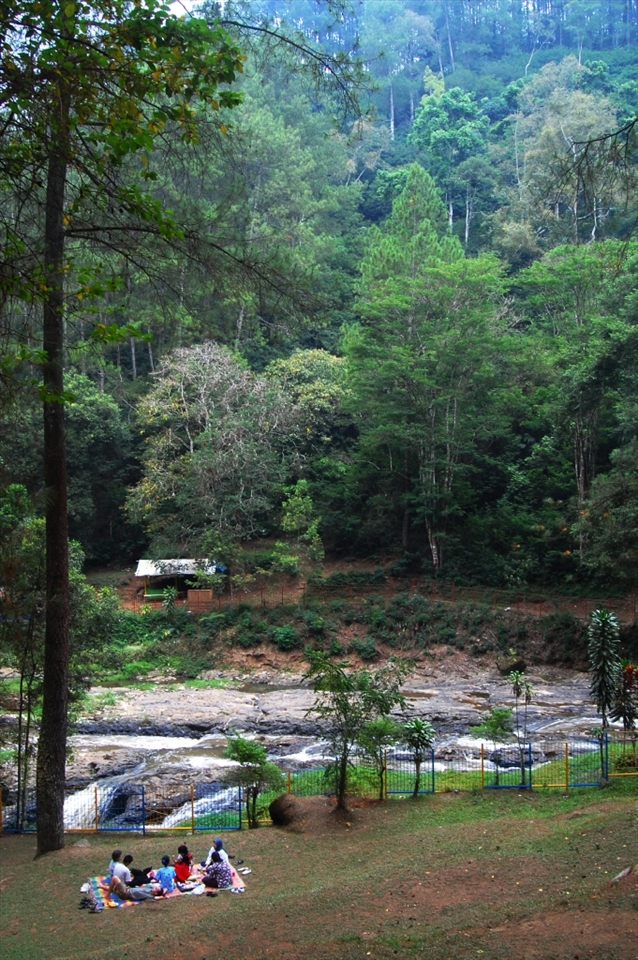 Escape from the hectic life of the city and enjoy the fresh air of mountain and pine tree refreshing your lung