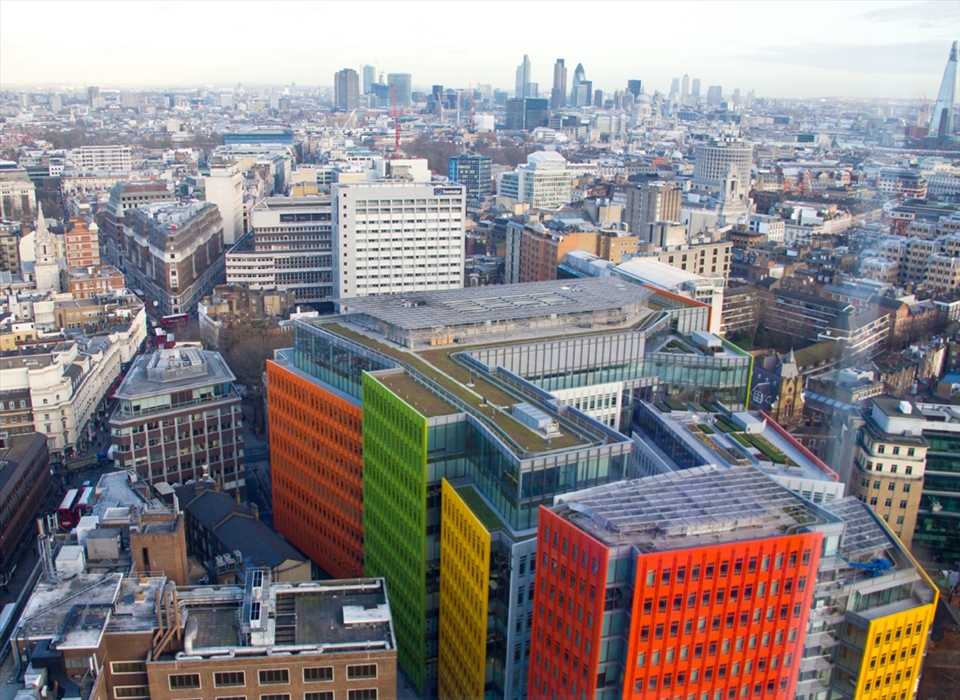 Chromatics: bright color reflection vs grey and brown 