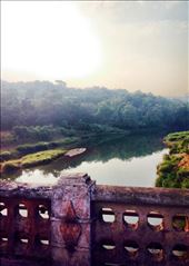 by gemma_laing, Views[401]