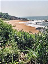 by gemma_laing, Views[200]