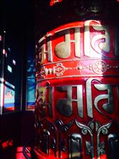 by gemma_laing, Views[179]