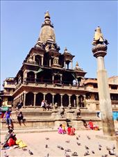 by gemma_laing, Views[347]