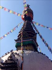 by gemma_laing, Views[231]