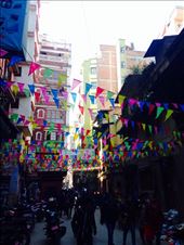 by gemma_laing, Views[229]