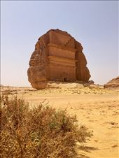 by gemma_laing, Views[351]