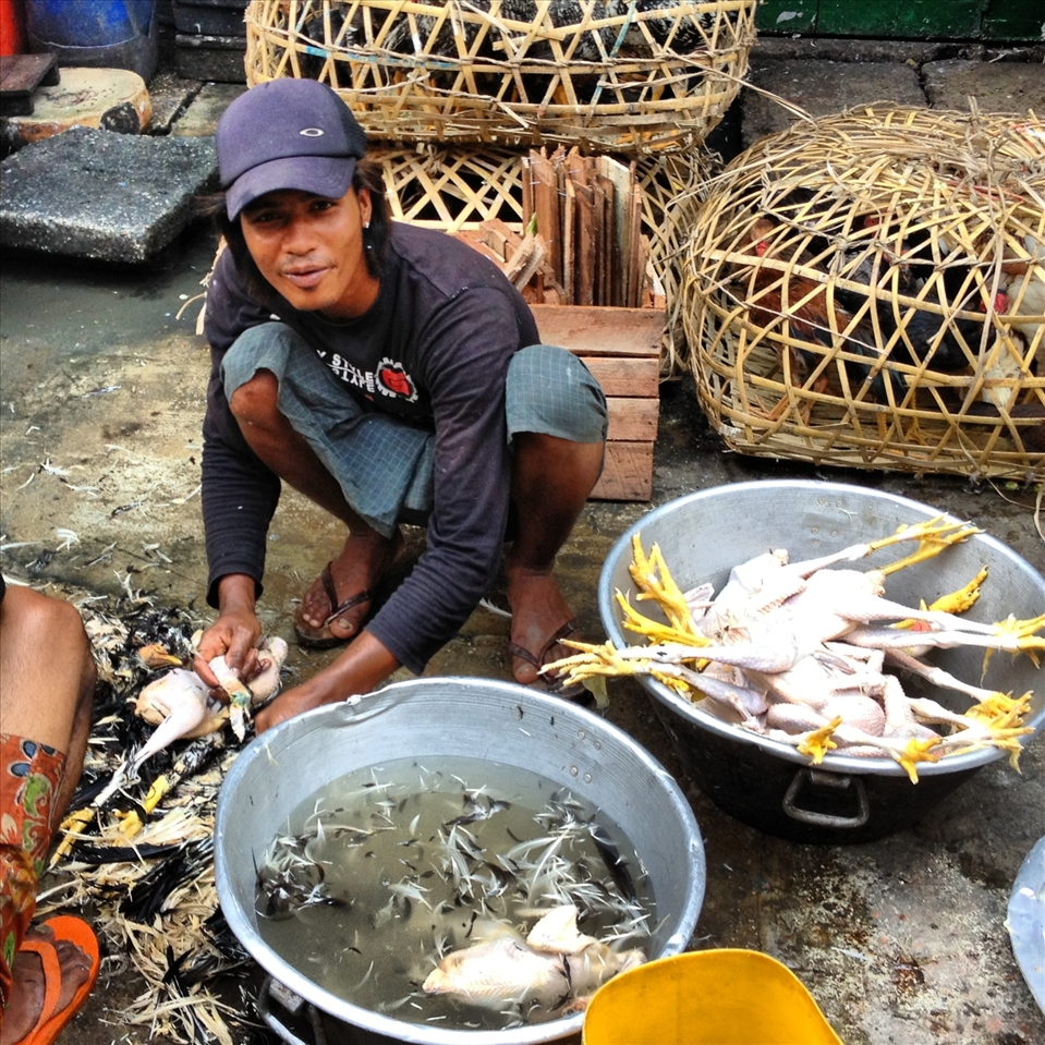 Plucking chickens, Yangon