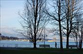 by geneve, Views[242]