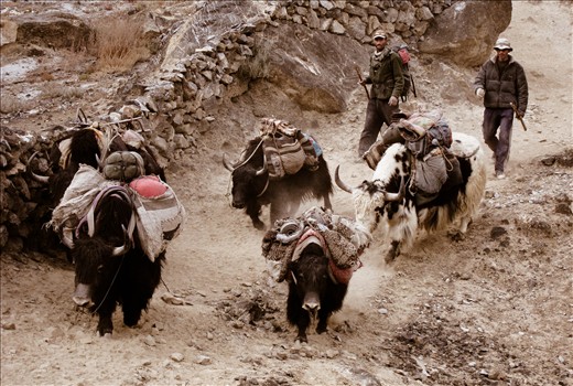 The local people are herders, not an easy life in such an arid, cold place.