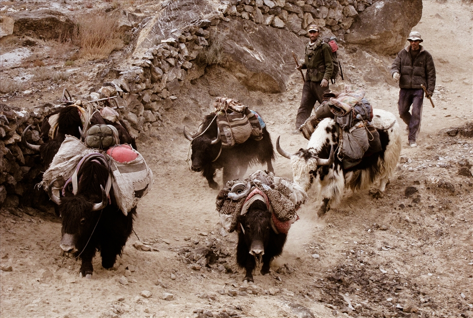 The local people are herders, not an easy life in such an arid, cold place.