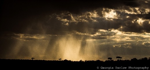 A stormy skyline over the Maasai Mara, Kenya