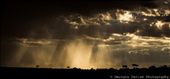 A stormy skyline over the Maasai Mara, Kenya: by georgi_kate, Views[370]