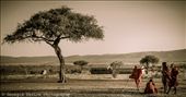 Some Maasai tribesmen catch up near a tree overlooking the Maasai Mara, Kenya: by georgi_kate, Views[355]