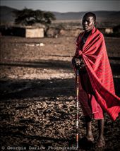 A Maasai tribesman in his village: by georgi_kate, Views[477]