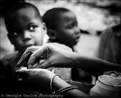 by georgi_kate, Views[220]