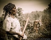 by georgi_kate, Views[200]