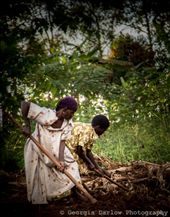 by georgi_kate, Views[180]