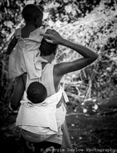 by georgi_kate, Views[216]