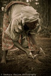 by georgi_kate, Views[216]