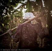 by georgi_kate, Views[144]